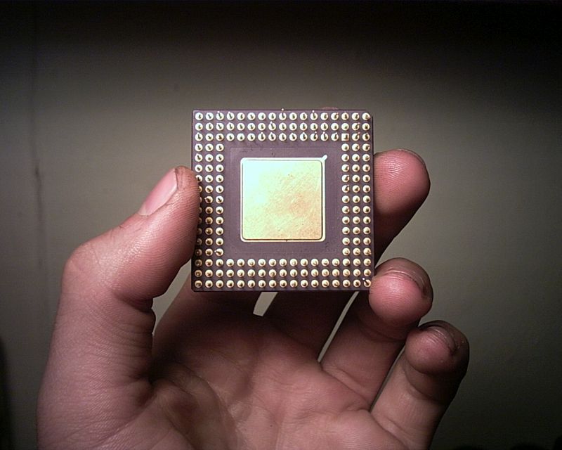 procesorius